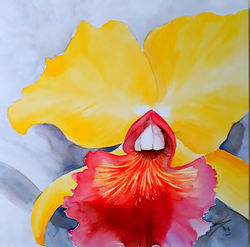 Orquídea VIII