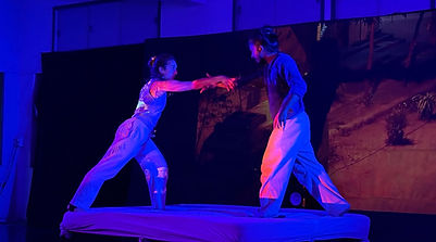 A multidisciplinary installation and performance with sensor-based interactive technology and contemporary dance