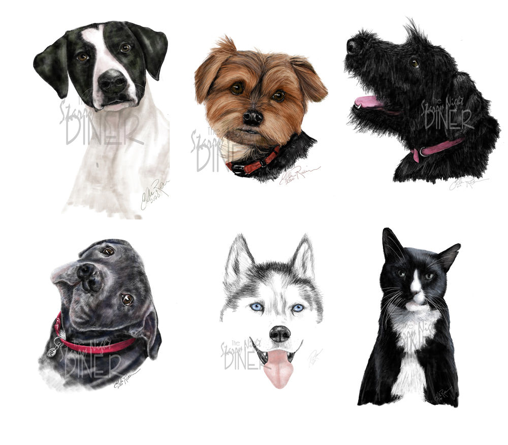 Custom Pet Portrait -  Head