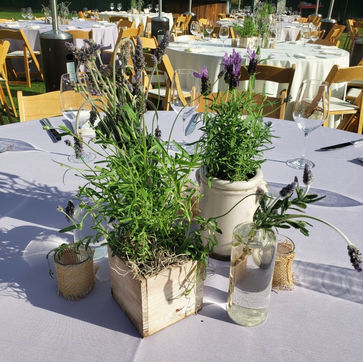 Ceramic +Lavender