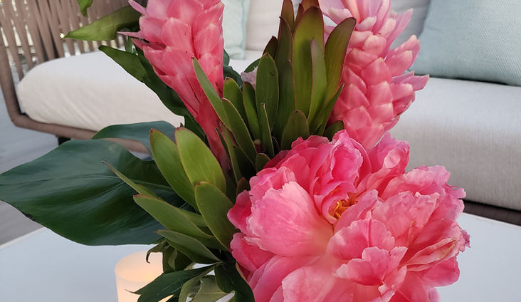 pink tropical.jpeg