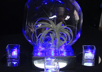 Modern Terrarium on Led Glass in Mirrior Sq Vase w Sq Votives Atop Mirriors 1.jpg