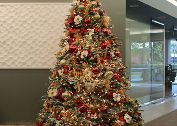 Red and Gold Christmas Tree.jpg