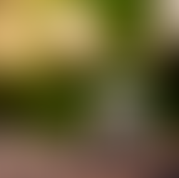 Quarterly Update PFM Portfolios April 2026