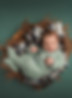 Sleeping newborn portrait wrapped in green fabric at La Bella Sole Photography