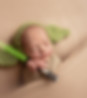 Newborn yoda with light starwars inspired portrait at La Bella Sole Photogrphy