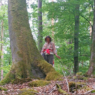 soin énergétique et rituel dans la forêt en Alsace