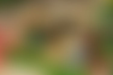 Felicitación de Navidad - 2020