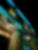 external night time.jpeg