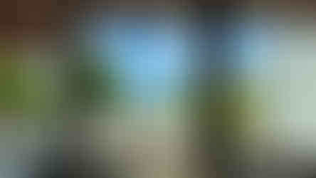 Ocean view from inside the reception area at Park Hyatt St. Kitts with palm trees and walkway leading to the beach