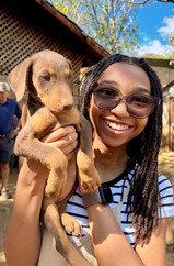 Child holding a puppy at The Monkey Farm in Guanacaste, Costa Rica