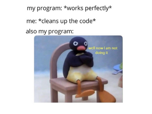a penguin testing code