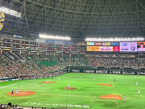 日本棒球之旅：與「軟銀隊」共同揮灑熱血