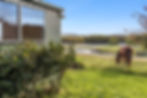 horse grazing next to the studio