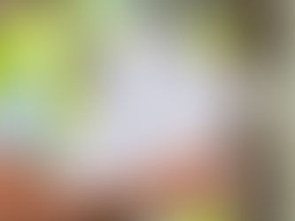 Your Comprehensive Guide to Yearly Roof Inspections