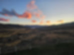 20231026_072338.jpg