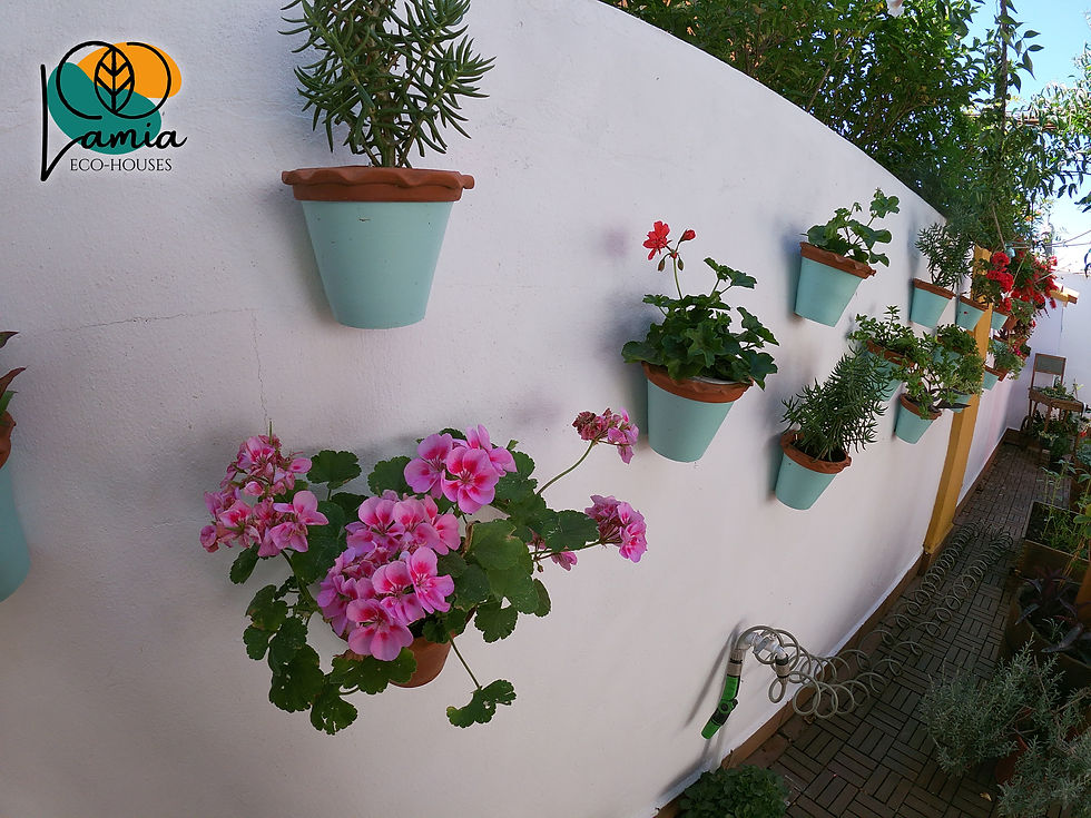 Andalusian garden