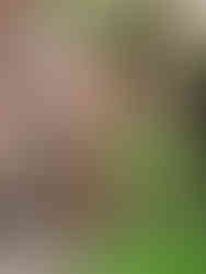 ภาพ Be amazing office ที่ออกแบบ โดย The Collective Sutudio