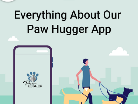 Appsinvo - Everything About Our Paw Hugger App