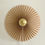 Thumbnail: Danish designed rosette wall light.