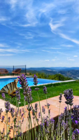 View from the pool of Lake Trasimeno , Umbria