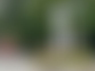 【椿大社と多度大社リトリート】開催 ワーク付き 募集中