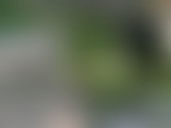 諏訪大社四社巡り開催しました