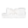 106713294_1111588262555137_5731310334179202758_n-removebg-preview_edited