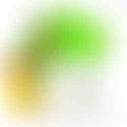 Environmental impact assessment (EIA)