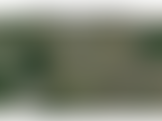 Rooftop Solar Energy Potential Assessment Using GIS and Remote Sensing