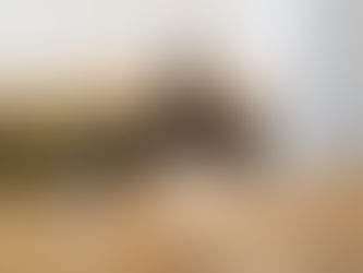 【催事情報】日本橋三越本店 初夏のおうちで愉しむ趣味時間