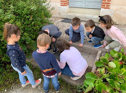 Echange de services école Saint Nicolas Mirebeau (30).jpg