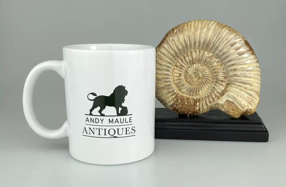 Thumbnail: FOSSILISED AMMONITE - PERISPHINCTES