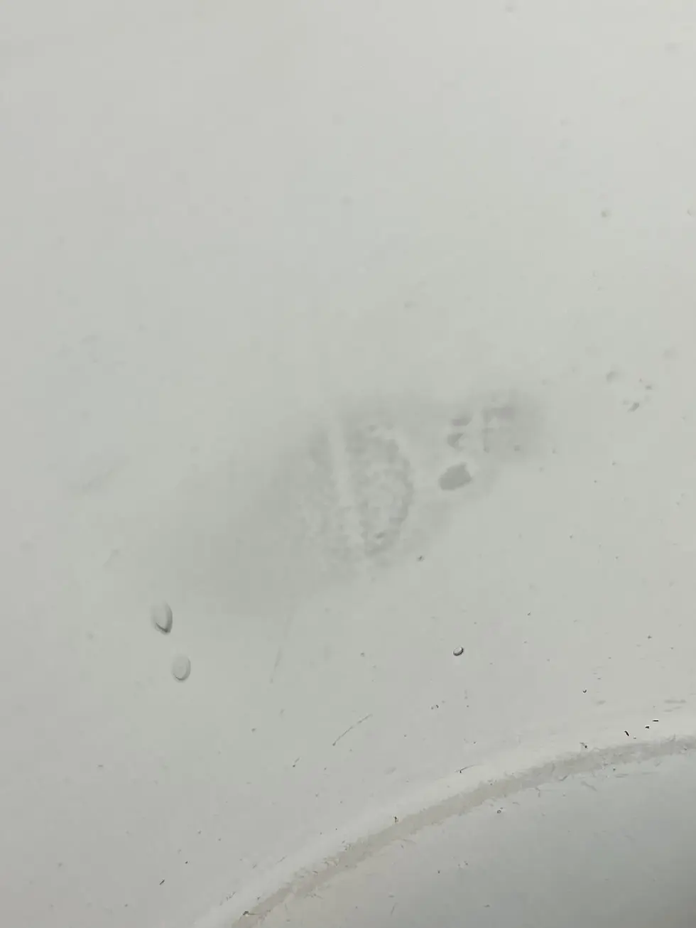 Thumbnail: WRIGHT and SON SHOP COUNTER BUSCUIT JAR