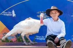 5d17ae_cd86ec455b8a47b7b2198f7665cbcb1a~mv2