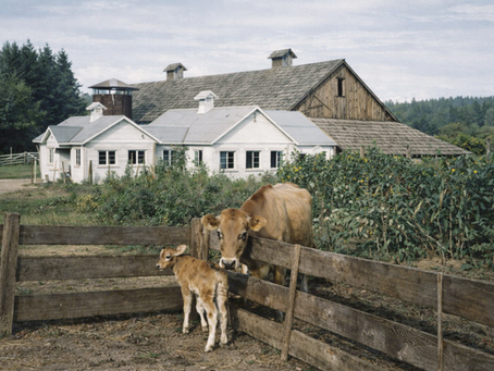 DCD Holds Preview Meeting For Newly Approved Agriculture Advisory Council