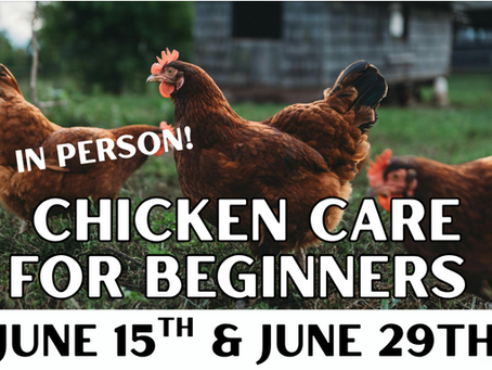 Upcoming Livestock Classes with WSU Regional Small Farms