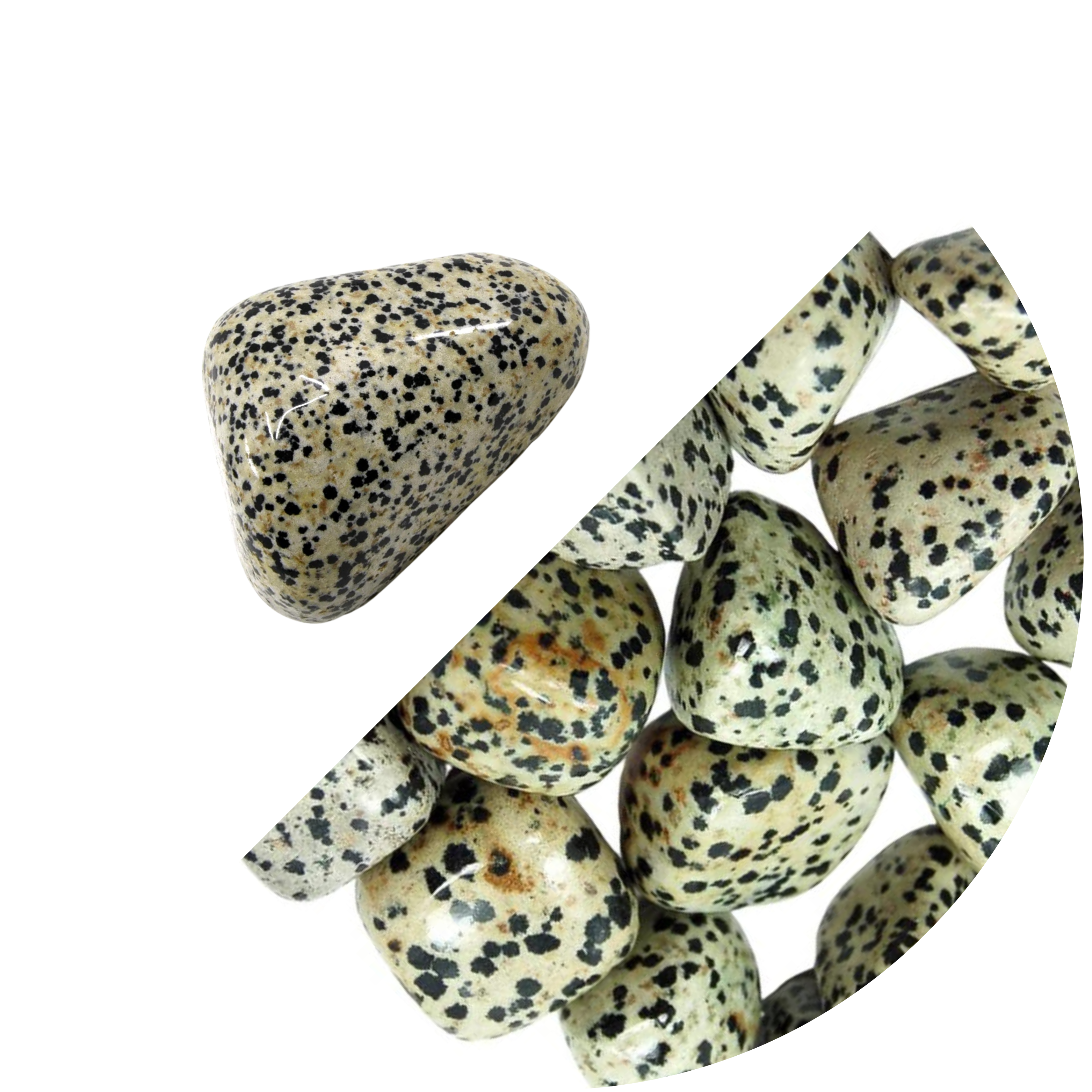 Jaspe Dalmation.png
