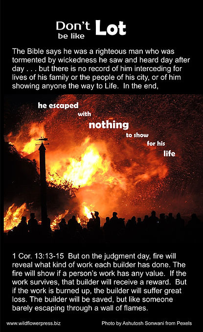 LOT_edited.jpg