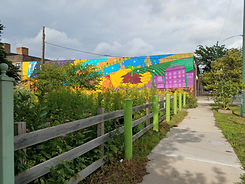 El Paseo Community Garden