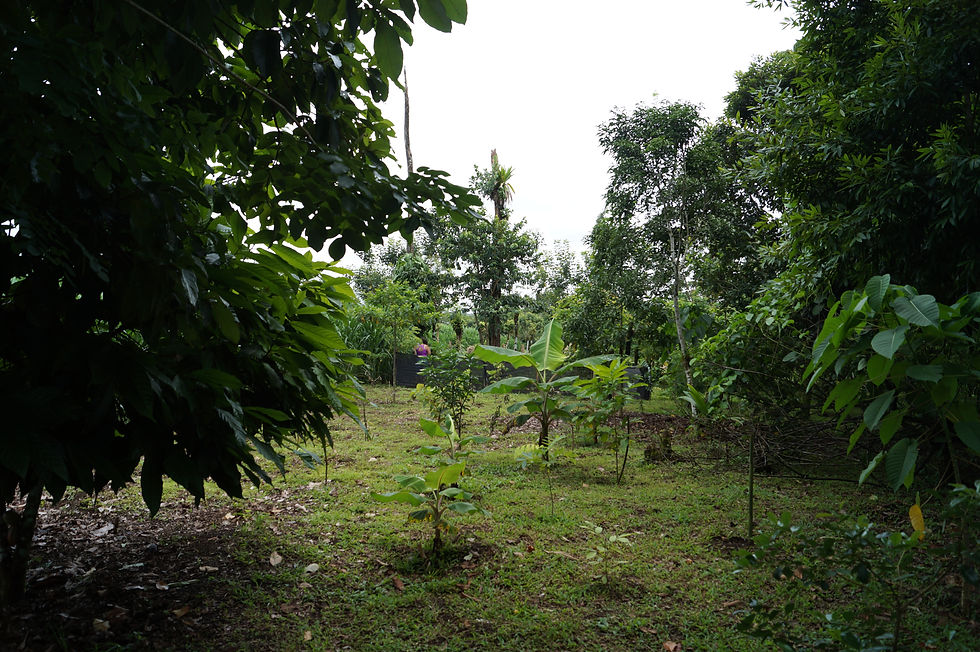DSC02385