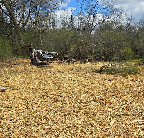 Freshly mulched land in Waukesha Wisconsin