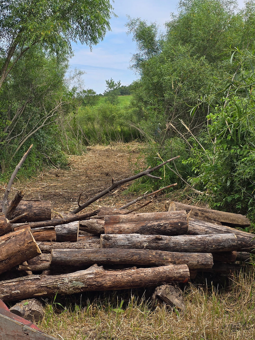 A picture of storm damage clean up in Wisconsin