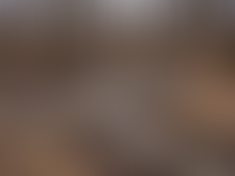 Standing water and muddy ground on wooded property in Wisconsin during spring thaw showing drainage problems