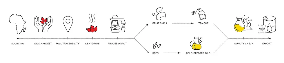 Rosehip Process Flow.webp