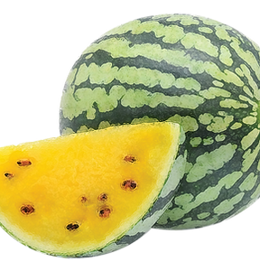 Melon painted image_1.png