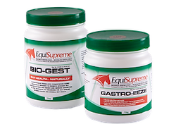 EQUISUPREME GASTRO EASE (V19259).png