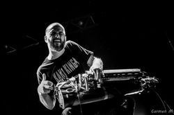 2015-10-28-Organic Bananas (c) Carmen Morand-028-WEB