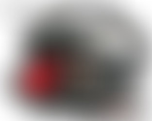 El Corazón de su Caldera: La Ventaja de un Quemador de Fabricante Experto