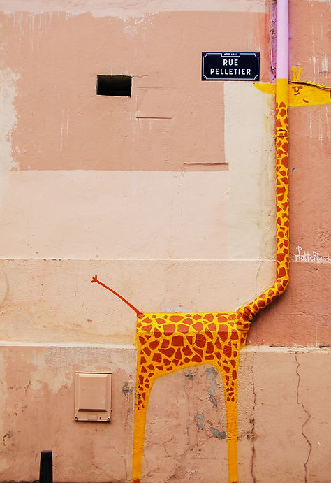 Giraffe Graffiti